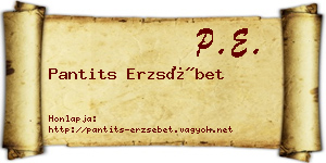 Pantits Erzsébet névjegykártya